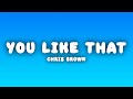 Chris Brown You Like That Lyrics Chris Brown You Like That Lyrics