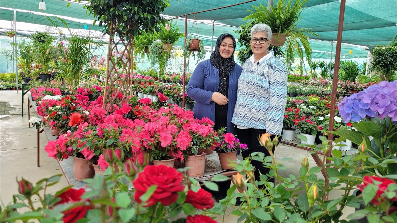 ÇİÇEK SEVER DOSTUMLA SERA GEZMESİNDEYİM!🌹 ŞAHANE PEYZAJ🌹ÇİÇEK FİYATLARI