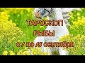 РЫБЫ ТАРОСКОП С 1 ПО 15 СЕНТЯБРЯ &fish Taroscope from 1 to 15 September