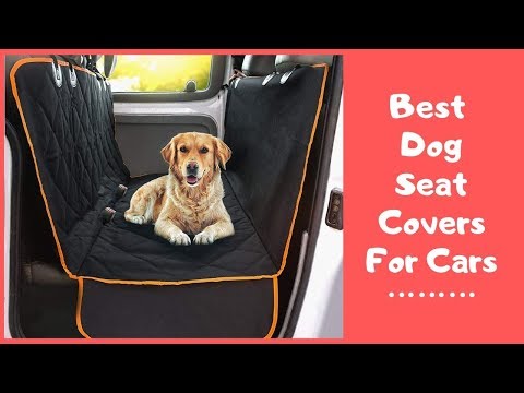 best-dog-seat-covers-for-cars-2019---dog-seat-covers-reviews