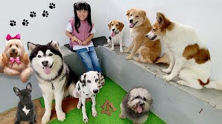 Main Sama Anjing Lucu, Kasih Makan Anjing dan Ajak Jalan Jalan - Mengenal Binatang untuk Anak