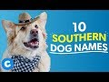 TOP 100 BEST Dog Names For Male – Dog Name Ideas 2020!