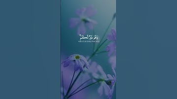 وعسى أن تكرهوا شيئا وهو خير لكم | قران كريم ❤️🌹 #القارئ #راحة_نفسية 