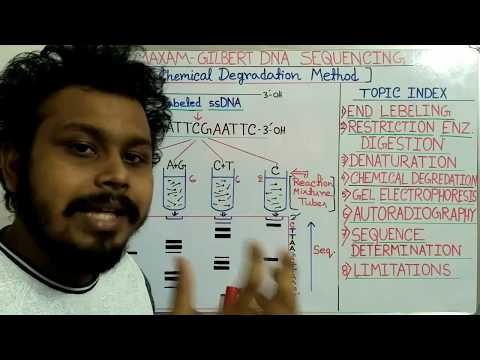 DNA  sequencing by Maxam Gilbert method