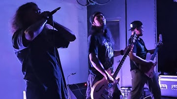 Biomorphic Engulfment - Perpetual Transmigration Towards Philosopher