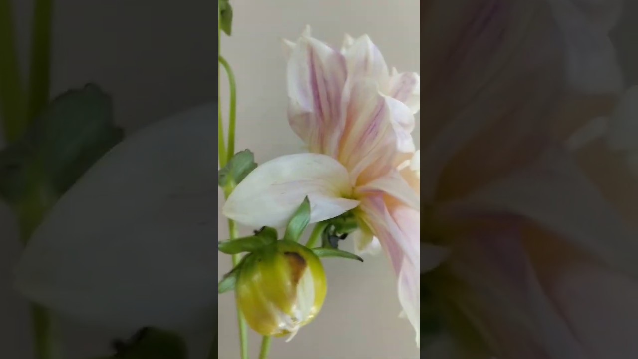 Trendy Summer Wedding Flowers New Mexico