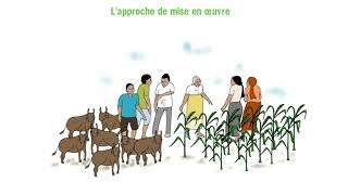 Présentation Du Pro-Arides