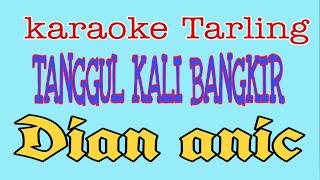 Tanggul kali bangkir karaoke (DIAN ANIC)
