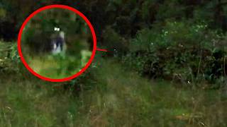 Top 15 Scary Videos Caught On Camera