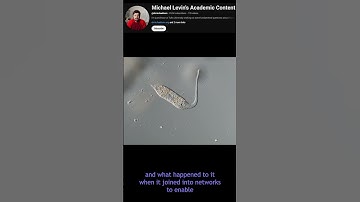 You are a collective intelligence