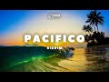 ►FREE◄ Reggae Instrumental Beat 2023 | PACIFICO Riddim