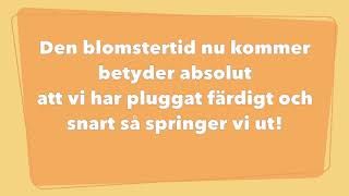 Video thumbnail of "Vi har pluggat färdigt 2018"