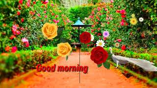 Good morning video song Diwano ke jayshe karte ho sharart hamko to pata hai tere Dil ki hakikat Amar