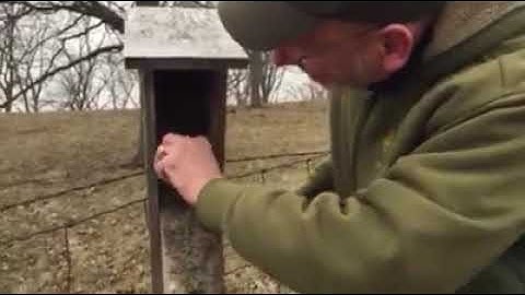 Bald Hill Prairie Preserve Eastern Bluebird Nesting Box Cleaning