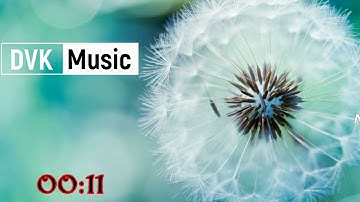 Nhạc Nhảy Sạp Truyền Thống ( Chuẩn Cho Tập Múa Nhảy ) | DVK Official