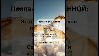 Золотой дракон