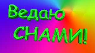 К чему снится мышь К чему снится мышь