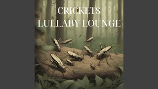 Starlit Cricket Lullaby | Calm Night Serenade