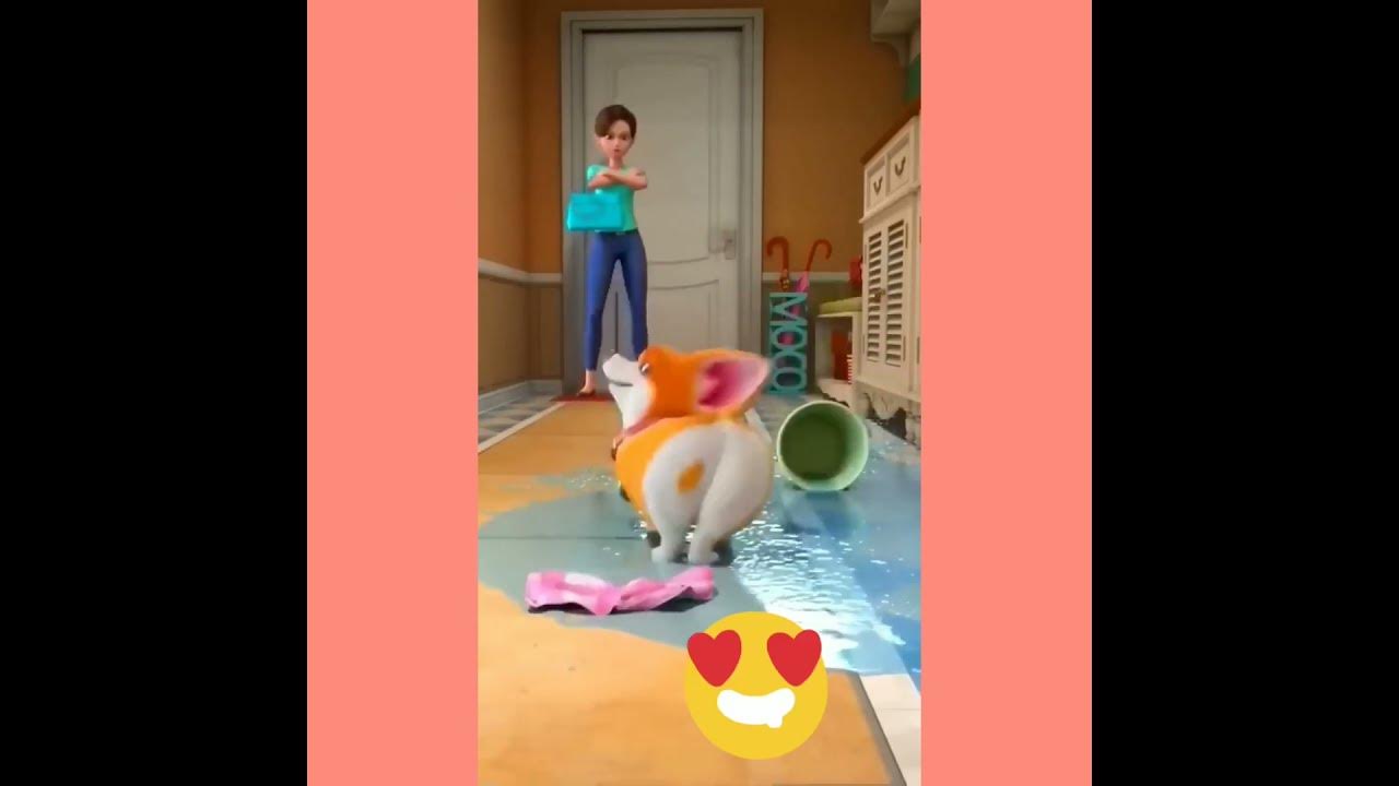 dog-house-build-dog-house-at-home-youtubeshorts-dog-house-at-home