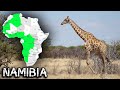 🇳🇦Ep.34 - Aici TREBUIE să veniți!!! 🙂(Etosha National Park, Namibia)