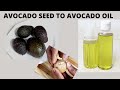 How To Make Avocado Seed Oil From Avocado Seed |Natural Hair Growth