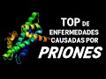 TOP Enfermedades causadas por PRIONES