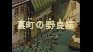 シートン動物記 06  裏町の野良猫