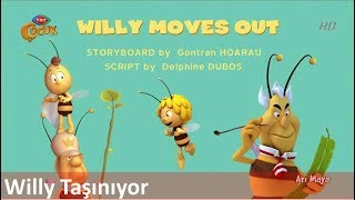 Arı Maya Willy Taşınıyor