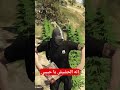 قراند الحشيش في لعبة جراند الحياة الواقعية