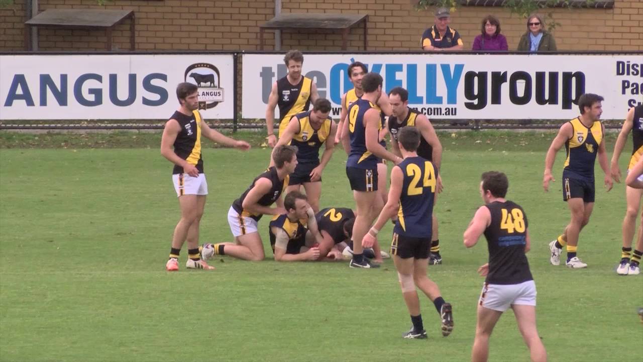 Mansfield  v  Rochester