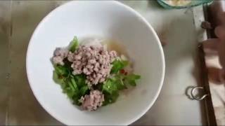 Group Project: Chinese Morning Glory