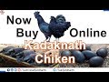 Kadaknath Chicken buy online  Black Chicken  Technical ...