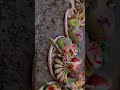 Darshan Dekhai Dihi #song #sorts #shortvideo #chhathpuja