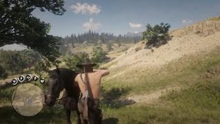 Red Dead Redemption 2_20181202003402