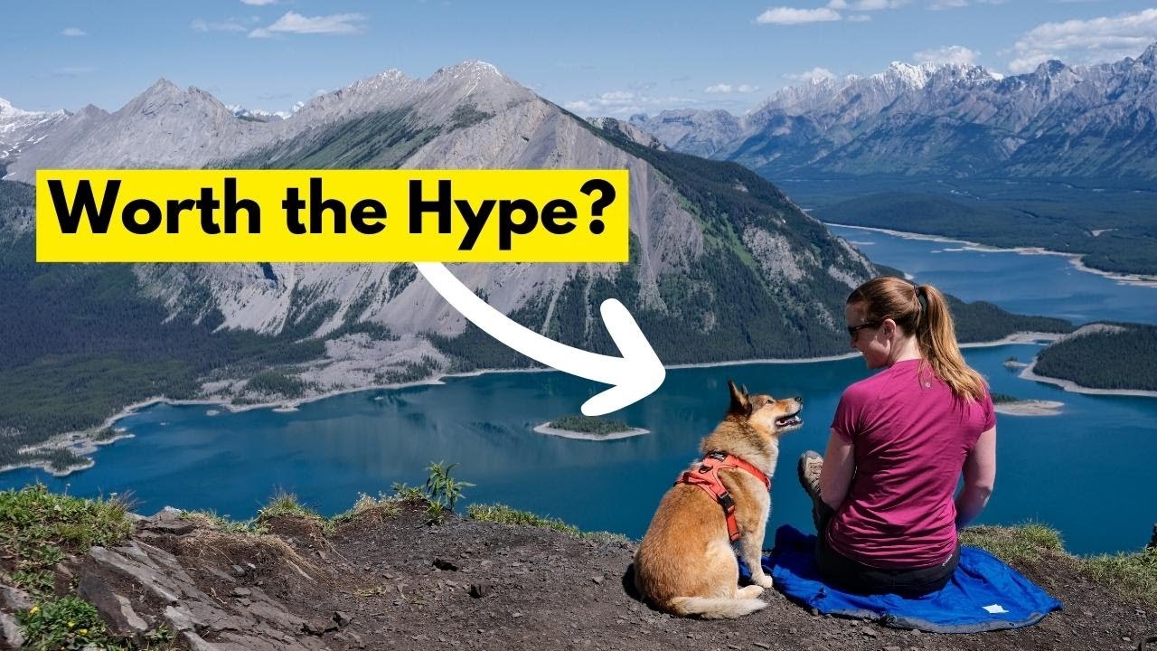 Hiking Sarrail Ridge in Kananaskis with my Dog YouTube