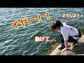 逃げ場のないテトラで襲撃されて大パニックになりました