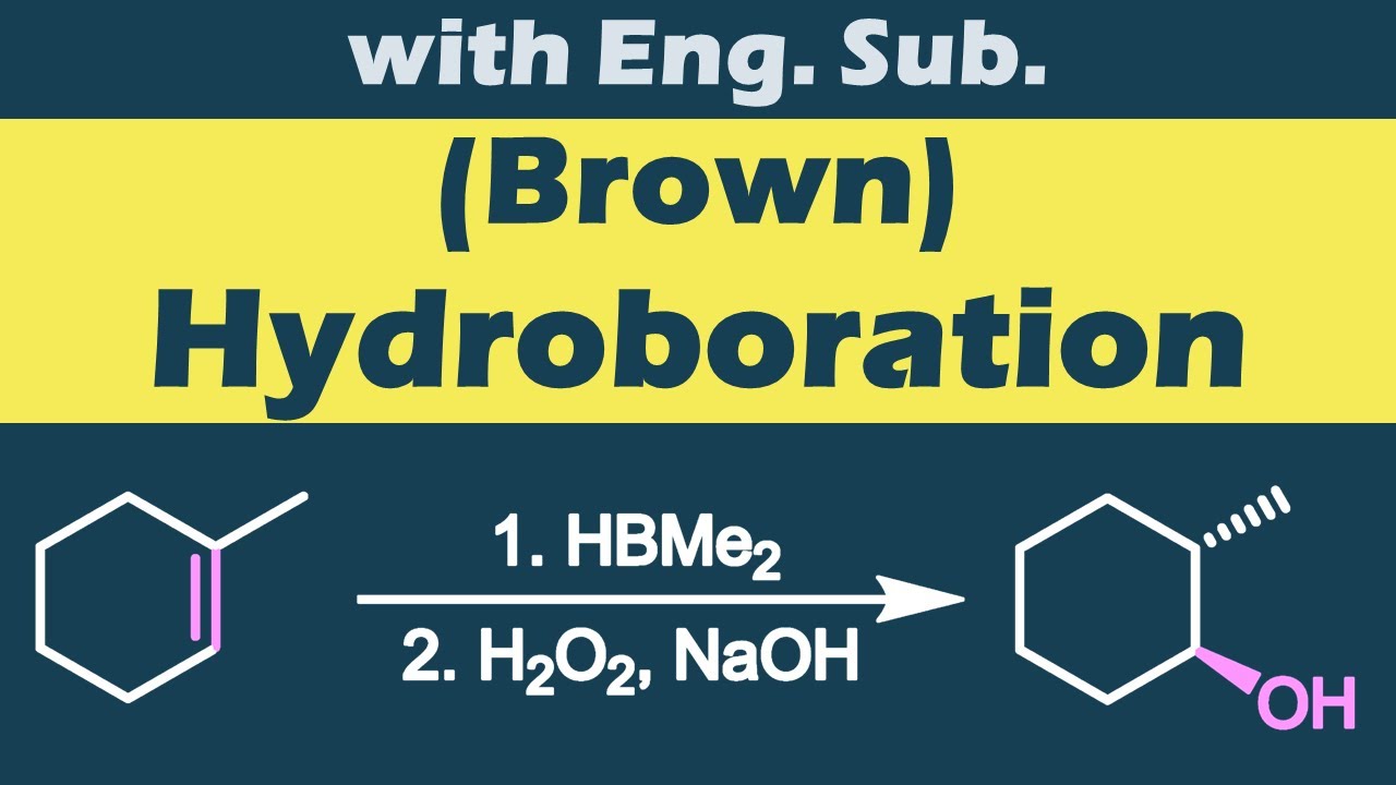 Brown Hydroboration Mechanism Youtube