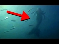 SIRENAS REALES captadas en video