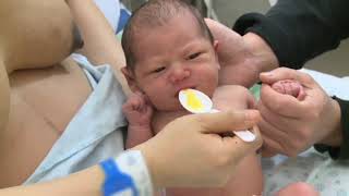 Hand Expressing Milk