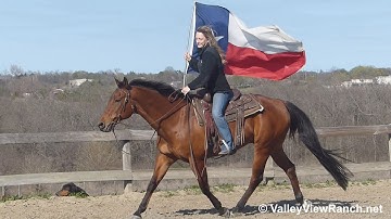 Little Docs Rufus - carrying the flag - ValleyViewRanch.net