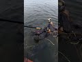 Weishan Lake Tourism Area Cormorant Fishing EP 6 #CormorantFishing #WildFishing #Fishermen'sLife