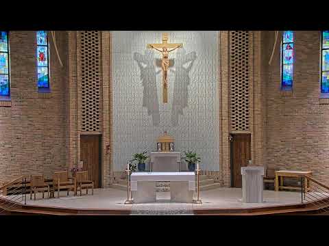 Daily Mass Saturday - 8:15 AM - 06/14/2025