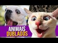 Animais Dublados Episódio 12