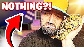 Do Ball Pythons Feel Fear Trust?! NOT What You Think!