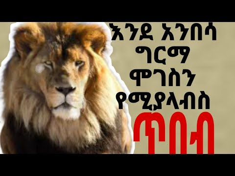 ቪዲዮ: ኤስ ቡብኖቭስኪ, 