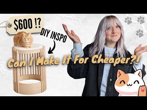 *Trendy* $600 CAT BED!? 🙀 Can I make It for Cheaper?! | DIY Danie