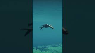 Plesiosaurus #jurassicworldevolution2 #shorts #marinelife #jwe2gameplay #gaming