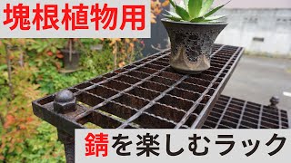 ＤＩＹで自由に作れる塊根植物用の屋外棚　黒サビを育てて愛でるワビサビシェルフ