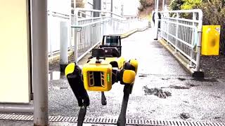 Un chien robot dans le métro de Montréal