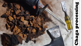 Efficient Chaga Processing Tips